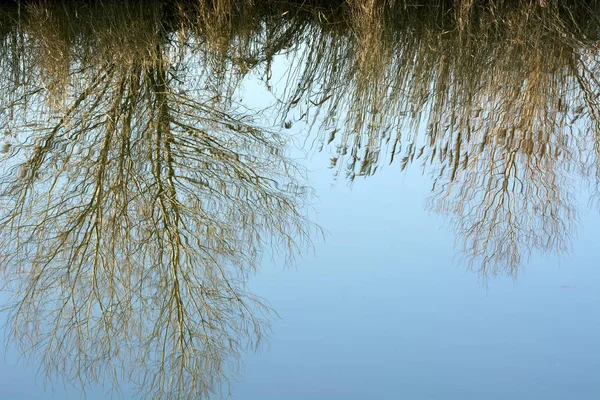 Yansıma Balaton Gölü Macaristan — Stok fotoğraf