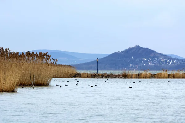 Paisaje Del Lago Balaton Hungría — Foto de Stock