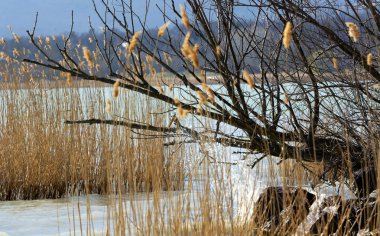 Peyzaj balaton Gölü, Macaristan