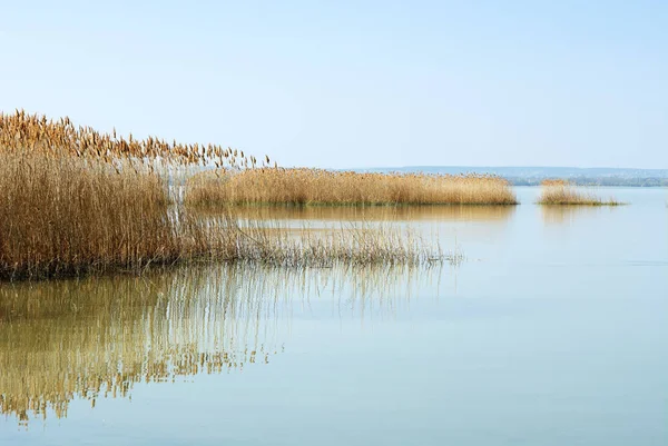 Τοπίο Της Λίμνης Μπάλατον Ουγγαρία — Φωτογραφία Αρχείου