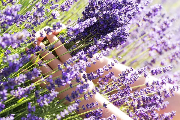 ラベンダーの花束を手に — ストック写真