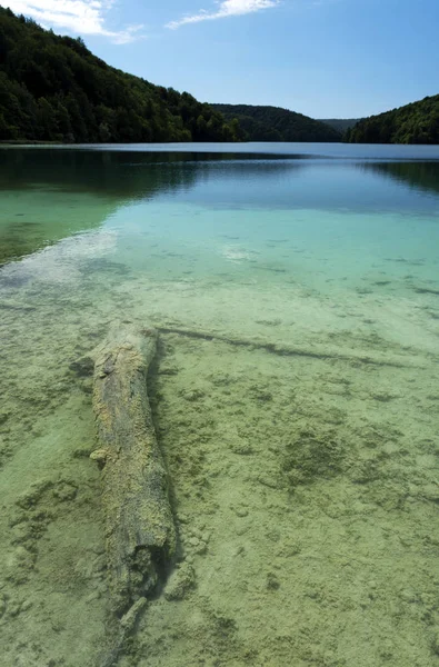 Detail Plitvice National Park Croatia — стокове фото