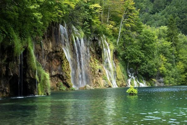 Dettaglio Del Parco Nazionale Plitvice Croazia — Foto Stock