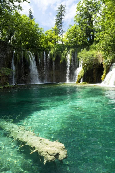 クロアチアのプリトヴィツェ国立公園 ストック画像