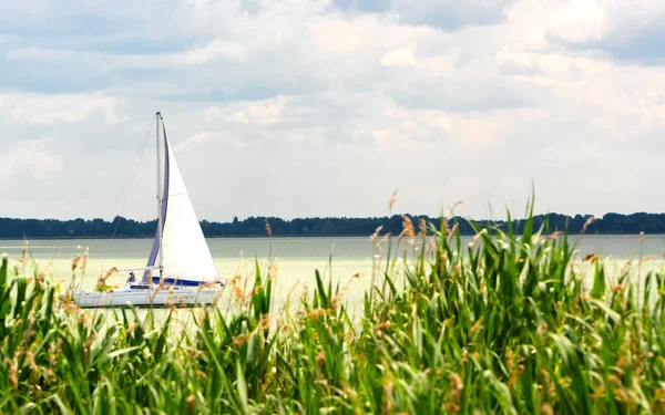 Segelbåt Vid Sjön Balaton Juni 2020 Ungern — Stockfoto