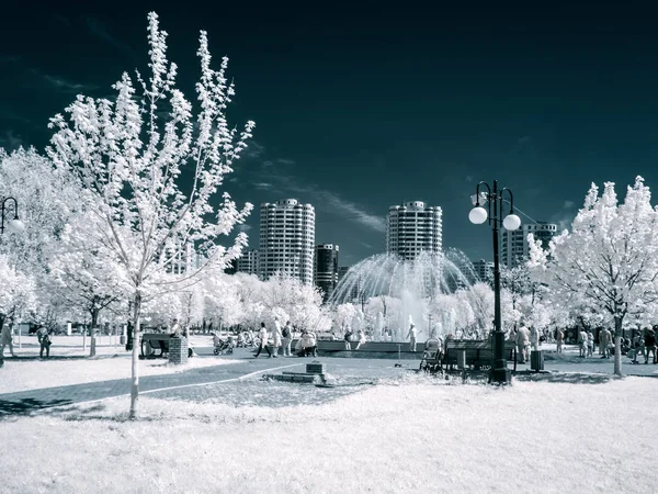 レウトフ ロシア連邦 2018 可能性があります 赤外線写真 レウトフ都市公園 モスクワ州 — ストック写真