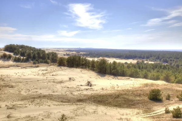 Kaliningradská Oblast Pohled Kurské Kose Výšky Duny Efa Pomník Přírodní — Stock fotografie