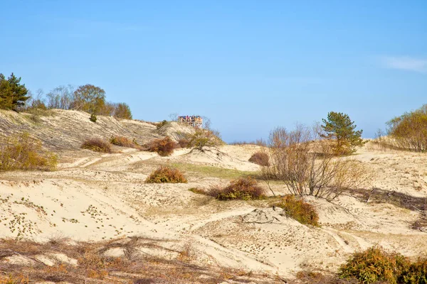 Regione Kaliningrad Veduta Dello Spit Curoniano Dall Alto Della Duna — Foto Stock