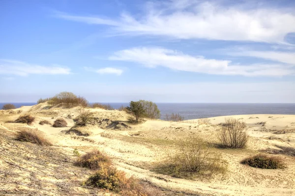 Região Kaliningrado Vista Curonian Spit Partir Altura Duna Efa Monumento — Fotografia de Stock