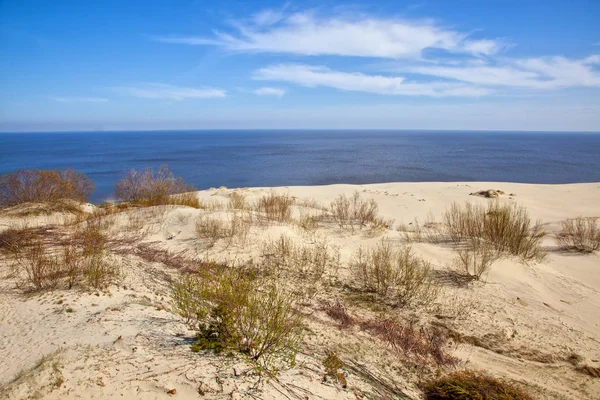 Região Kaliningrado Vista Curonian Spit Partir Altura Duna Efa Monumento — Fotografia de Stock