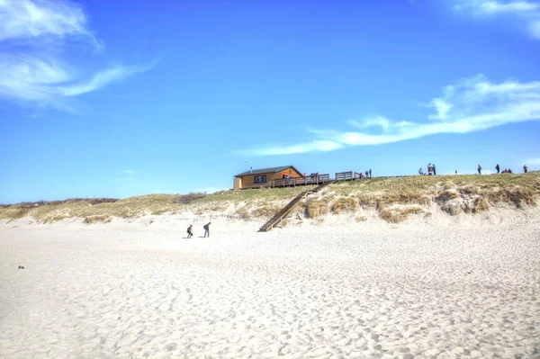 Curonian Spit Ρωσία Μπορεί 2018 Παραλία Άμμο Ακτή Της Βαλτικής — Φωτογραφία Αρχείου