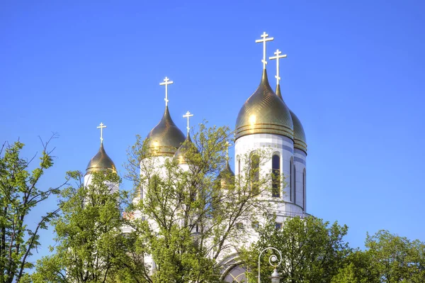 Golden-domed domes of the Cathedral of Christ the Savior and the chapel of Peter and Fevronia against the blue sky in the city of Kaliningrad