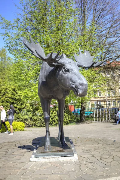 Sovetsk Rusland Kan 2018 Belangrijkste Attractie Van Stad Eland Een — Stockfoto