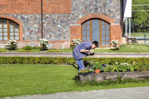 Kalininingrad Rusia Mayo 2018 Residencia Los Reyes Diseñador Pone Flores — Foto de Stock