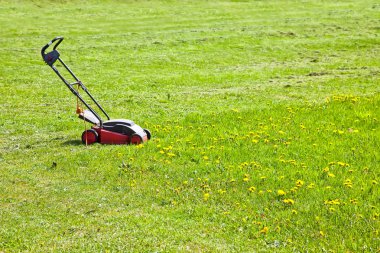 Modern electric lawn mower on the lawn clipart