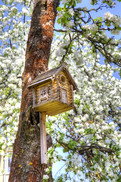 巢箱的形式 一个质朴的童话教堂在树干上 — 图库照片