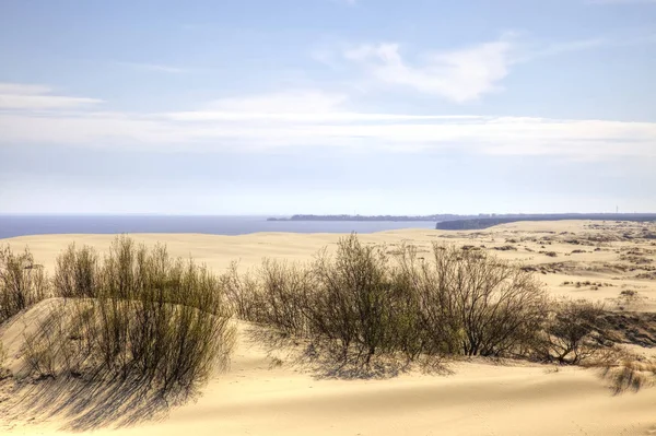 Região Kaliningrado Vista Curonian Spit Partir Altura Duna Efa Monumento — Fotografia de Stock