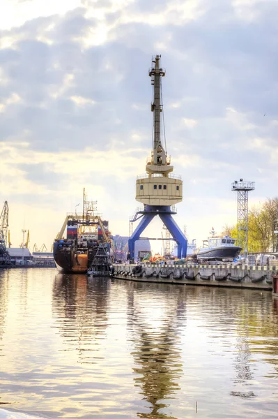 Kaliningrad Rusko Duben 2018 Portál Jeřáby Nákladního Přístavu Břehu Řeky — Stock fotografie