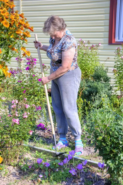 Una Mujer Trabaja Jardín Cabaña — Foto de Stock