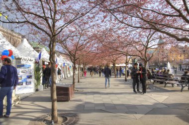 Stockholm, İsveç - 04.2013 olabilir: Kungstradgarden Park şehir merkezinde, en popüler kentsel parklarından biridir