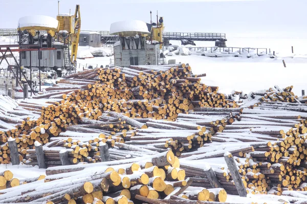 Lager Med Loggar Träbearbetning Växt Den Staden Murmansk — Stockfoto