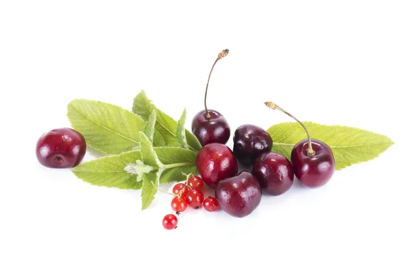 Berries Cherry Mint Leaves Isolated White Background — Stock Photo, Image