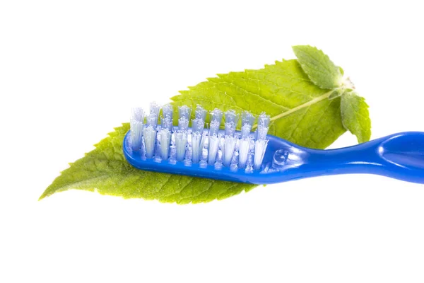 Cepillo Dientes Azul Sobre Hojas Verdes Frescas Menta —  Fotos de Stock