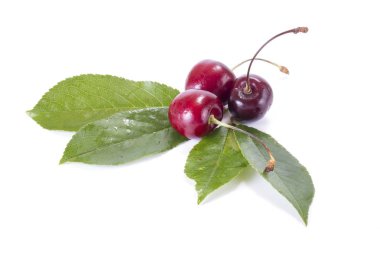 Tatlı beyaz bir arka plan üzerinde izole kiraz olgun berry