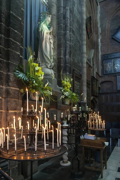 Interior Ancient Medieval Catholic Cathedral Saint Bavo — Stock Photo, Image