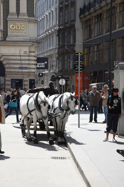 Vienna. Excursion carriage — Stock Photo, Image