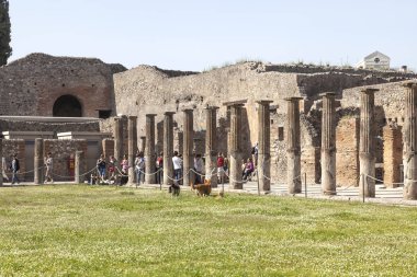 Volkan M tarafından kül tabakası altında gömülü Pompeii şehri