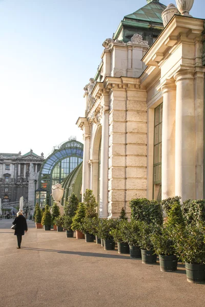 Vienna. Butterfly House — Stock Photo, Image