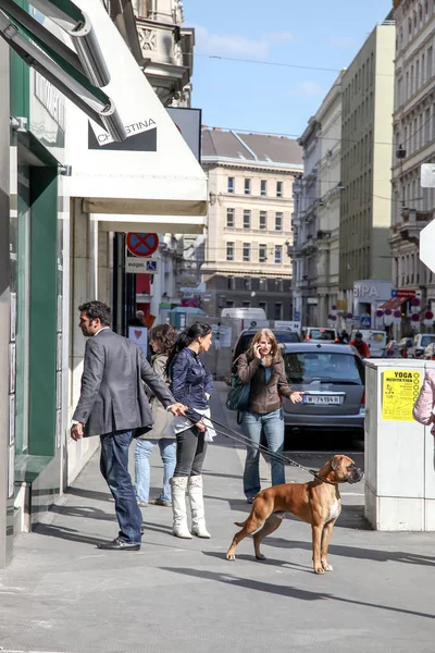 Wien. Hund und Herrchen — Stockfoto