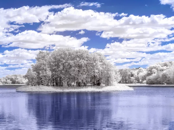 夏の風景。湖。赤外線写真。色 — ストック写真