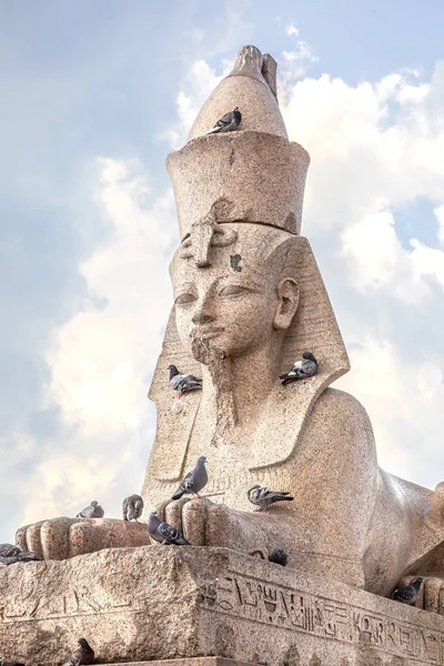 Saint Petersburg. Sphinx on University Embankment — Stock Photo, Image