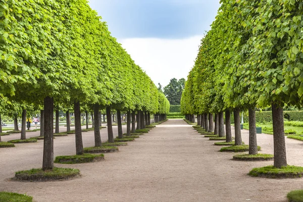 Upper Park Palace and Park Complexo Peterhof — Fotografia de Stock