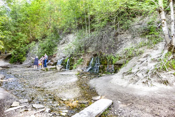 Primavera slovena (idrologia) vicino al lago Horodishchenskoe — Foto Stock