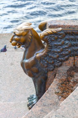 St. Petersburg'da. Griffon Üzerinde Üniversite Dolgu