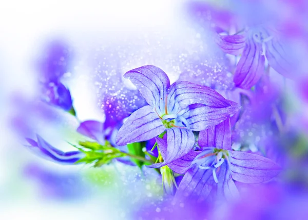Csokor harangvirág. Bokeh, blur — Stock Fotó