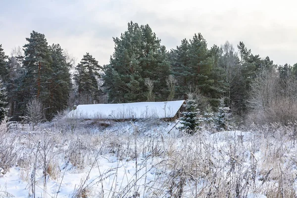 Shed at the edge of the forest — Stock Photo, Image