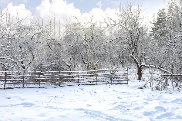 Cerca no jardim de inverno — Fotografia de Stock