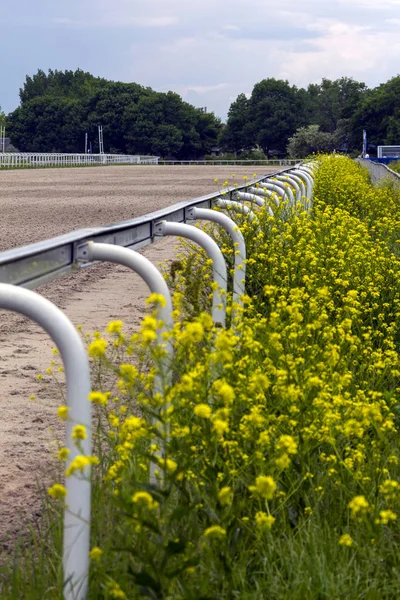 Pferderennbahn Mit Zäunen — Stockfoto