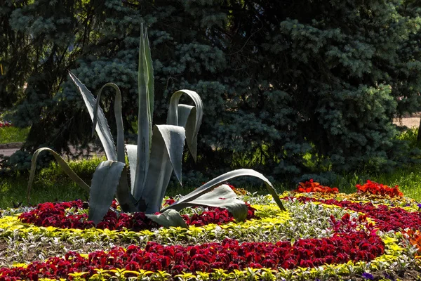 Belo Canteiro Flores Parque Tsvetnik Resort Pyatigorsk Cáucaso — Fotografia de Stock