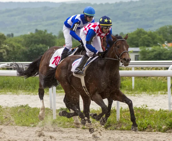 Pyatigorsk Rússia Maio 2018 Corrida Cavalos Para Prêmio Probni Pyatigorsk — Fotografia de Stock