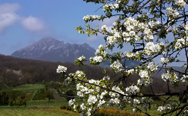 Giornata Primavera Nel Caucaso Settentrionale Russia — Foto Stock