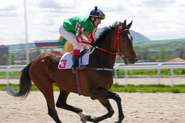 Pyatigorsk Federacja Rosyjska Maja 2011 Horse Racing Nagrody Otkritia Pyatigorsk — Zdjęcie stockowe