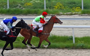 Pyatigorsk,Caucasus,Russia.Ahead - ana jokey Saitgaleev kahverengi aygır üzerinde Vesenni Ödülü için yarış Pyatigorsk, Rusya Federasyonu - 23 Mayıs, 2010:Horse.
