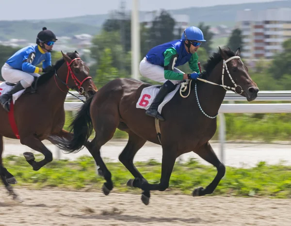 Pyatigorsk Rússia Maio 2018 Corrida Cavalos Pelo Prêmio Dos Vesenni — Fotografia de Stock