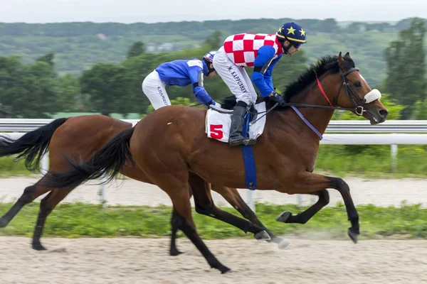 Pyatigorsk Rússia Maio 2018 Corrida Cavalos Para Prêmio Restritivo Pyatigorsk — Fotografia de Stock