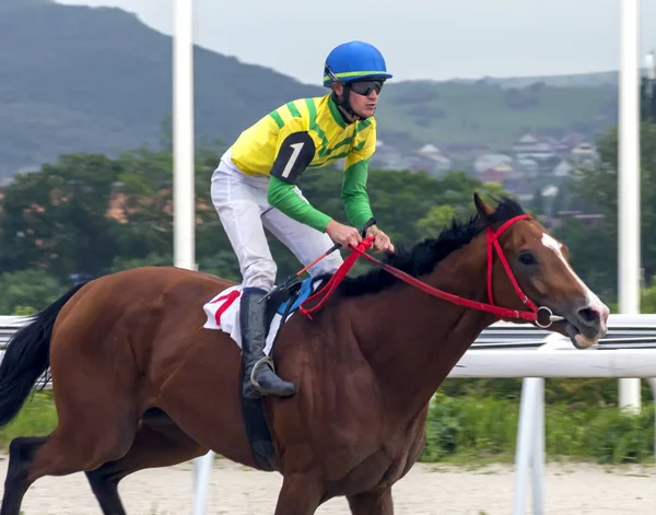 Pyatigorsk Rusia 2018 Mayo Carreras Caballos Por Premio Del Restrictivo —  Fotos de Stock